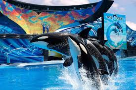 Dia no Seaworld